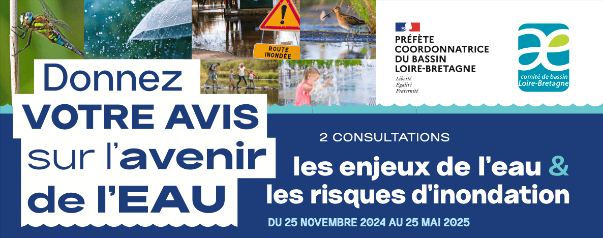 Visuel Donnez-votre avis sur l'avenir de l'eau. 2 consultations : les enjeux de l'eau & les risques d'inondation du 25 novembre 2024 au 25 mai 2025 - Préfète coordonnatrice du bassin Loire-Bretagne et comité de bassin Loire-Bretane